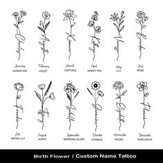 the different types of flowers that are drawn in ink on paper, and then handwritten with