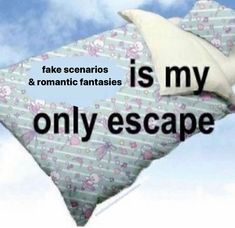 an image of a pillow flying in the air with words above it that read roblox is my only escape