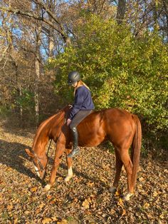 a man riding on the back of a brown horse through a forest filled with leaves