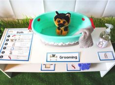 a stuffed animal in a bathtub on top of a table next to other items