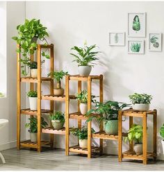 a room with plants and pictures on the wall above it that says wooden shelf plant stand