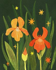 a painting of orange flowers with green leaves and stars in the dark sky above them