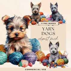 two small dogs are surrounded by balls of yarn