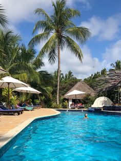 an outdoor swimming pool with lounge chairs and umbrellas