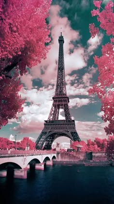 the eiffel tower is surrounded by trees with pink leaves on it and water below