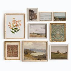 nine framed paintings on the wall with flowers in them