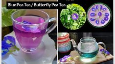 blue pea tea / butterfly pea tea collage with purple flowers and green leafy leaves