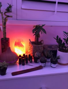 an assortment of essential oils and plants on a table with a purple light in the background