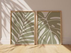 two framed pictures on a wall with a plant shadow