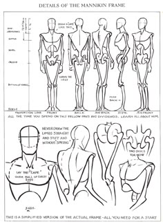 the human figure is shown in three different ways, including one with muscles and two without