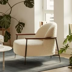 a living room filled with furniture and plants