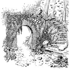 a black and white drawing of an old stone bridge with vines growing on the side