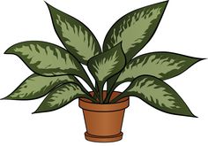 a potted plant with green leaves is shown on a white background, it's easy to draw