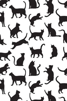 black silhouettes of cats on a white background, each with different positions and sizes