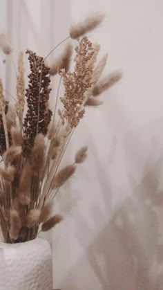 dried flowers in a white vase on a table