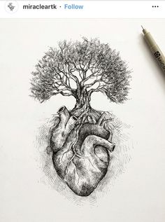 a drawing of a tree and a human heart