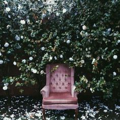 a pink chair sitting in the middle of a flower covered garden with white flowers all around it