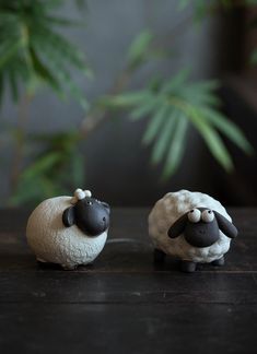 two small sheep standing next to each other on a table