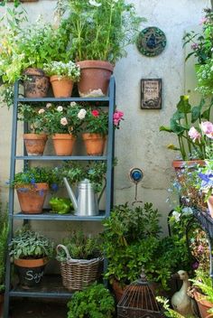 a shelf filled with lots of potted plants next to a wall mounted planter