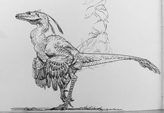 a drawing of a bird standing on its hind legs