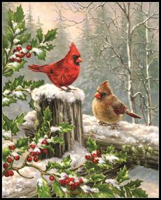 two red birds sitting on top of a wooden post next to snow covered trees and berries