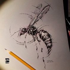 a drawing of a bee on paper with a pencil in it's left hand