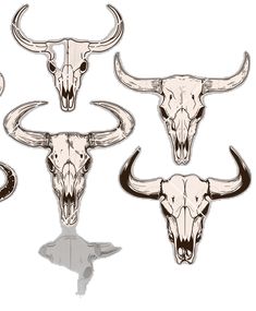 four longhorn steer skull designs on a white background