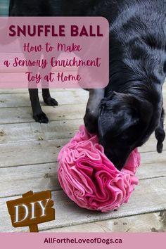 a black dog playing with a ball of yarn on the ground and text overlay saying, snuffle ball how to make a seriously enticment toy at home