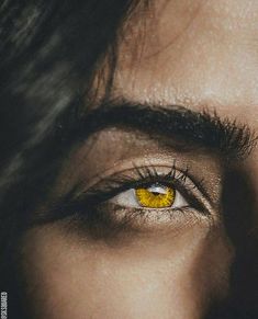 gold eyes // yellow eyes Leigh Bardugo, Eye Photography, Aesthetic Eyes, Gold Eyes, Throne Of Glass, Book Stuff, Pretty Eyes, Httyd, Character Aesthetic