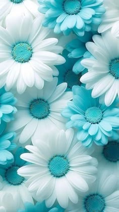 many white and blue flowers are arranged together