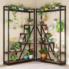 an open bookcase filled with potted plants on top of wooden shelves next to a wall