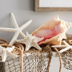 sea shells and starfish are on display in a basket next to a rope net