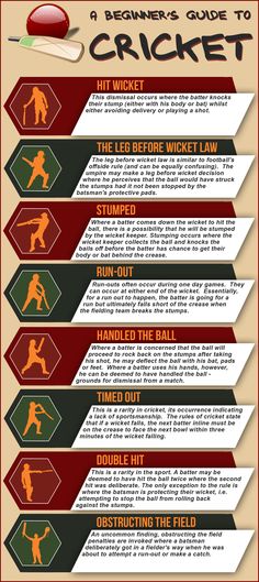 the ultimate guide to cricket info sheet