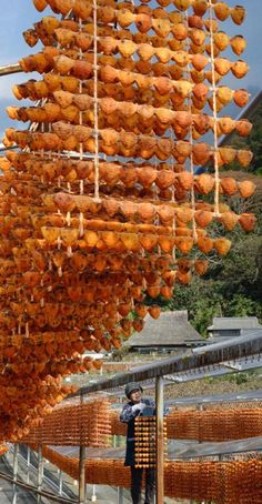 a man standing next to a bunch of food hanging from the ceiling