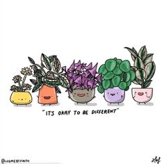 three potted plants with the words it's okay to be different