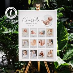 a baby's first year calendar is displayed on a easel in front of plants