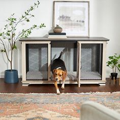 a dog standing in front of a cage on top of a wooden floor next to a rug