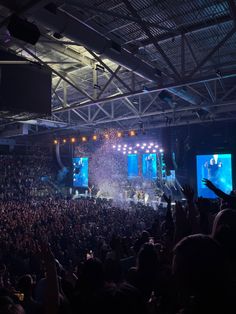 a large group of people at a concert