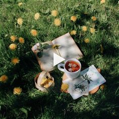 a cup of tea and some books in the grass