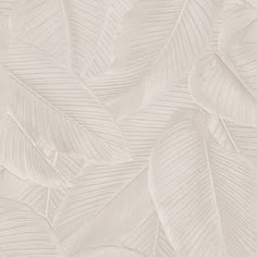 a white wallpaper with large leaves on the top and bottom half, in shades of beige