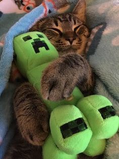 a cat sleeping on top of a green stuffed animal