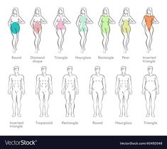 the different types of women's body shapes and their corresponding bodies are shown in this chart