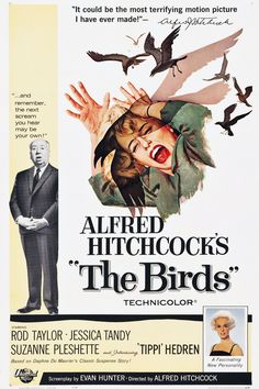 an old movie poster for the birds