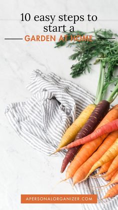 carrots with the title 10 easy steps to start a garden at home