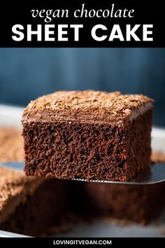 a close up of a piece of chocolate cake on a plate with the title above it