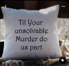 Pillow Form, Sarcastic Quotes, Funny Signs, Cricut Crafts, Cricut Ideas, The Pillow, Decorative Pillow Covers, Cricut Projects, Hidden Zipper