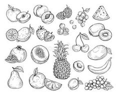 hand drawn fruits and berries set on white background in sketch style, black and white