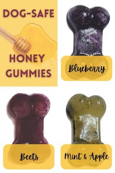 four different types of gummy bears with the words dog - safe, honey gummies and beets