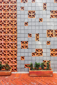 two potted plants sitting next to each other in front of a gray and orange wall