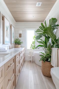 a bathroom with white walls and wooden floors, large plant in the corner next to the bathtub